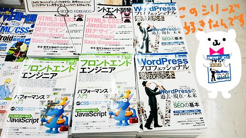 wordpress_professional (1)