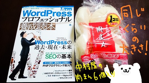wordpress_professional (3)