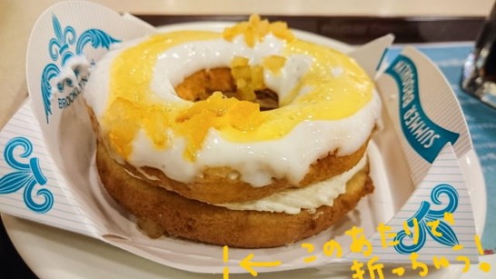mr-summer-donut[2]